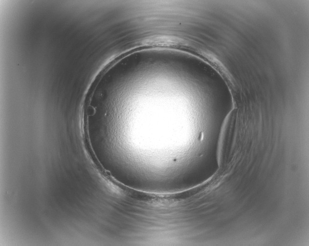 X0000071851083200607072255