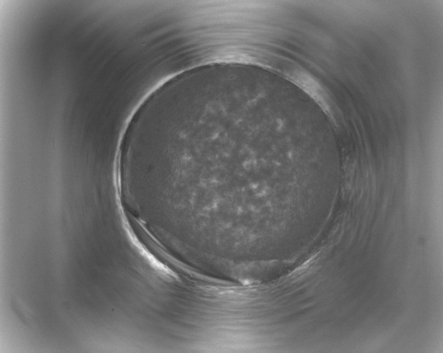 X0000071851084200607072255