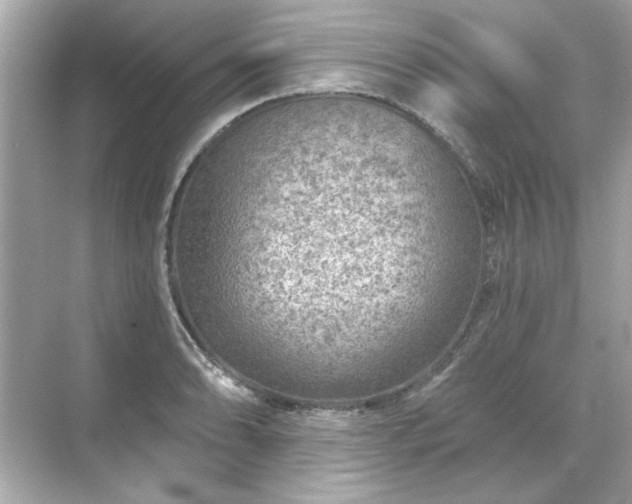 X0000071851086200607072255