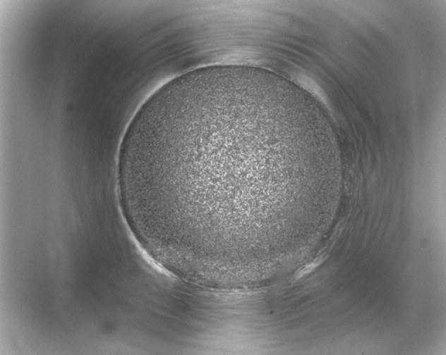 X0000071851087200607072255