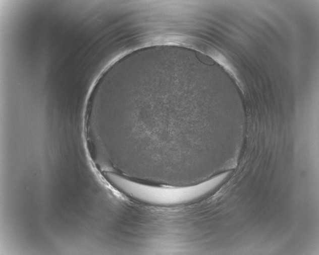 X0000071851088200607072255