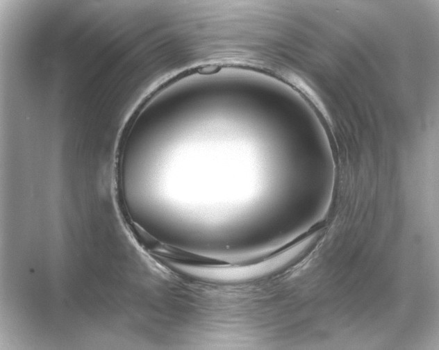 X0000071851093200607072255