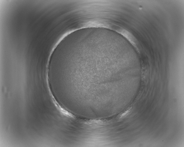 X0000071851094200607072255