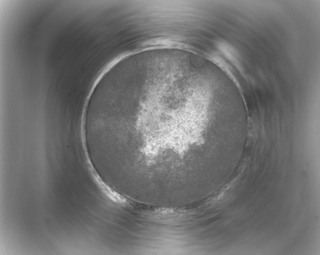 X0000071851098200607072255