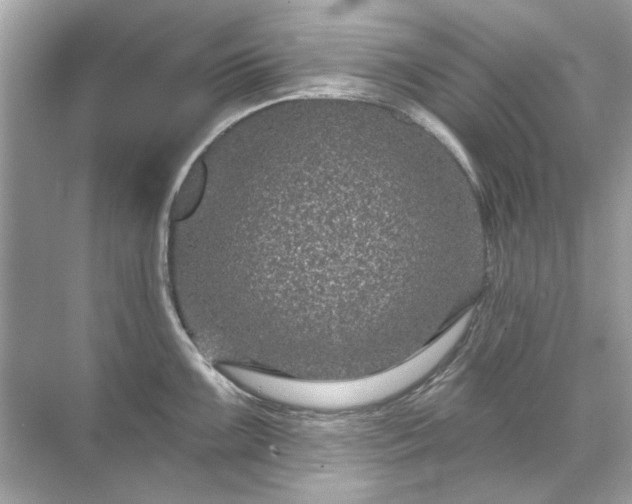 X0000071851099200607072255