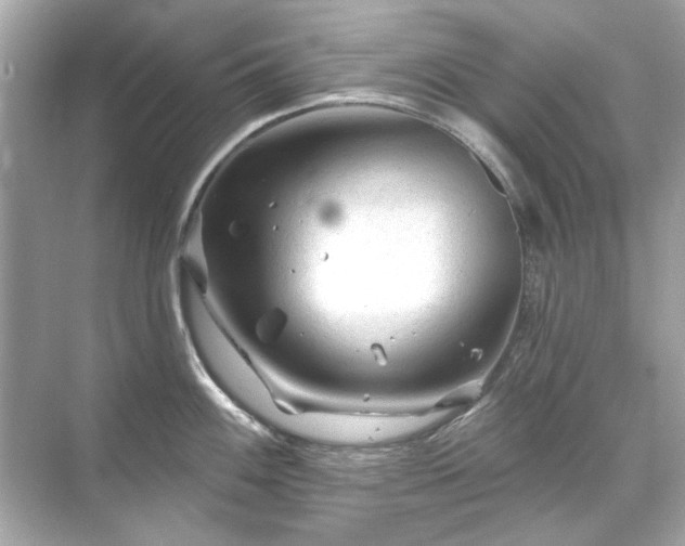 X0000071851100200607072255