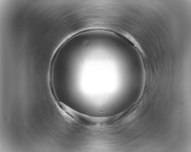 X0000071851101200607072255