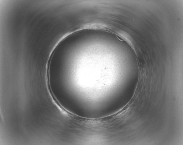 X0000071851103200607072255