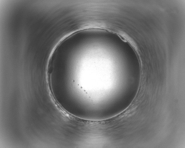 X0000071851104200607072255