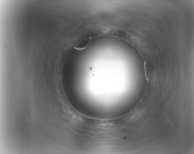 X0000071851105200607072254