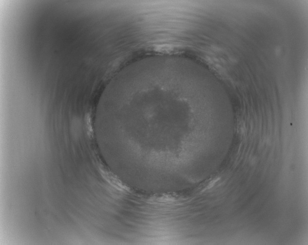 X0000071851106200607072254