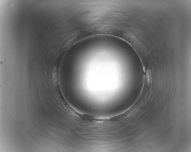 X0000071851107200607072254