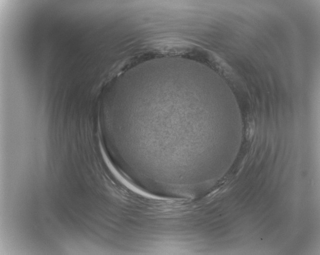 X0000071851108200607072254