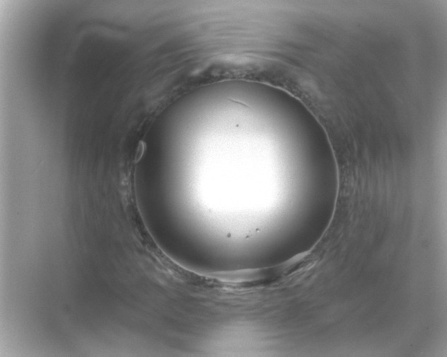 X0000071851109200607072254