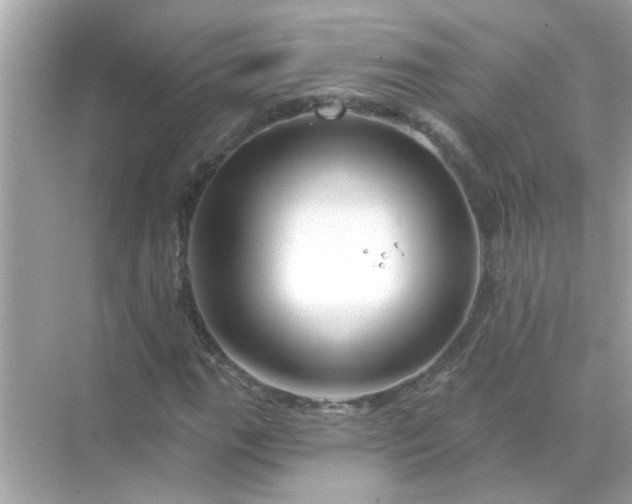 X0000071851111200607072254