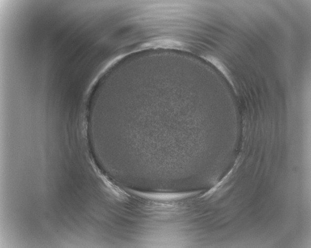 X0000071851115200607072254