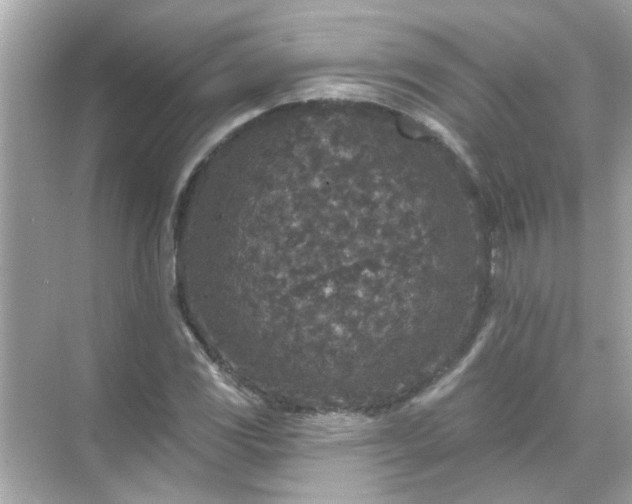 X0000071851117200607072254