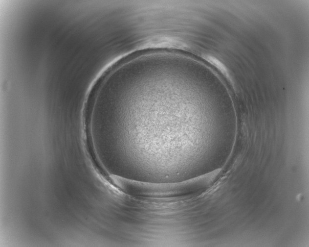 X0000071851120200607072254