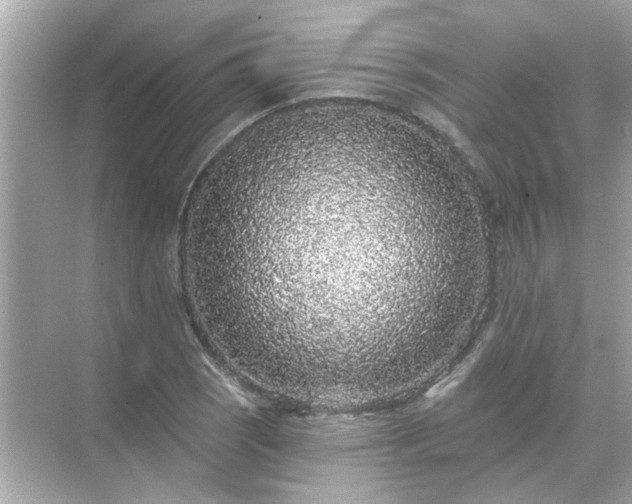 X0000071851121200607072254