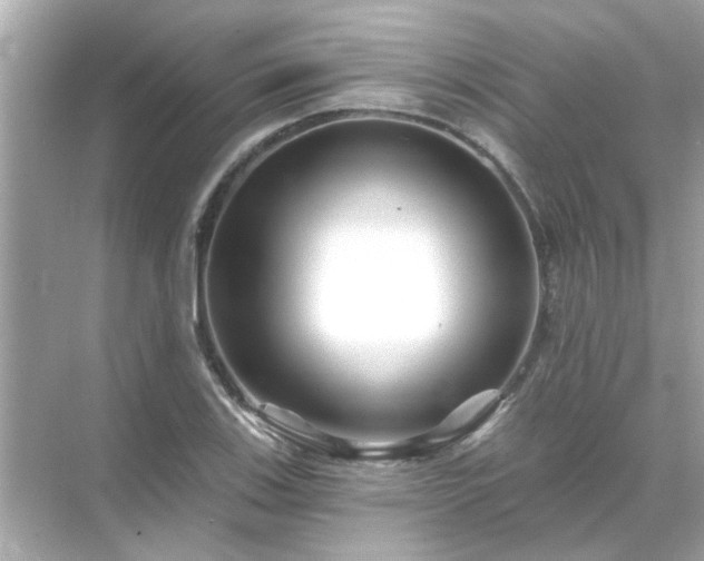 X0000071851123200607072254