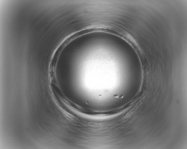 X0000071851124200607072254