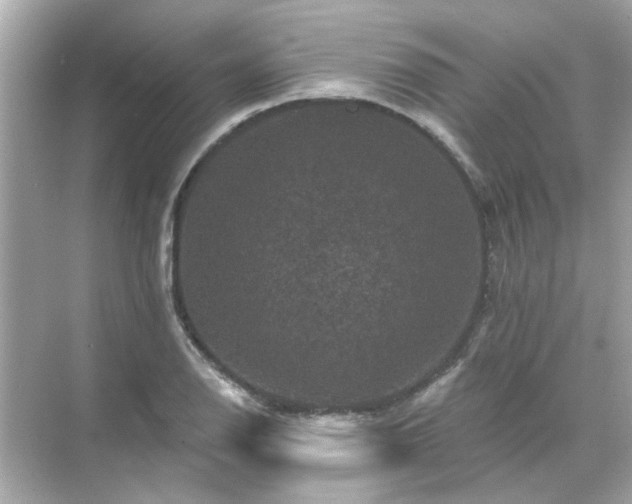 X0000071851126200607072254