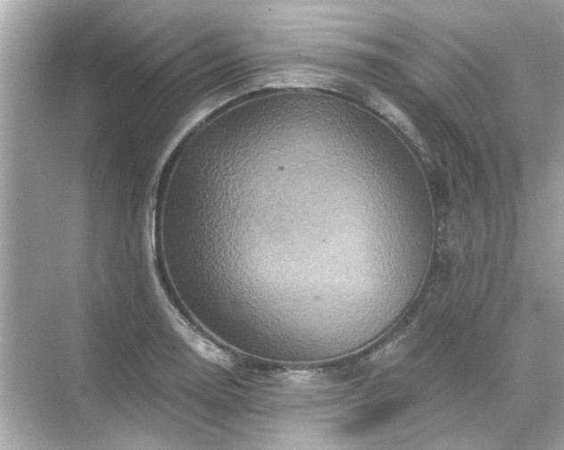 X0000071851130200607072254