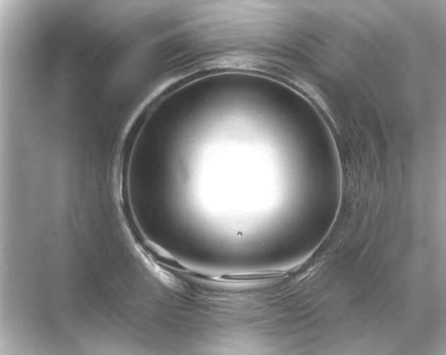 X0000071851131200607072254