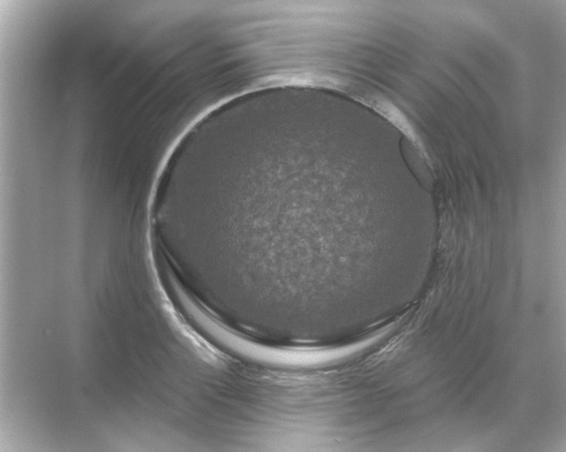 X0000071851132200607072254