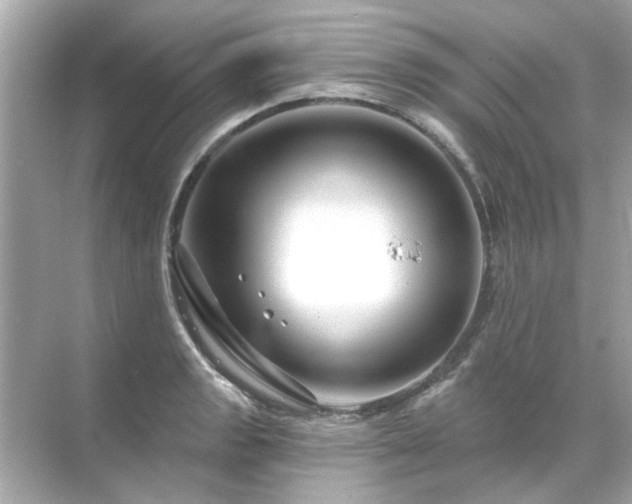 X0000071851133200607072254