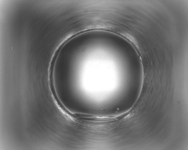 X0000071851135200607072254