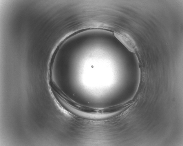 X0000071851136200607072254