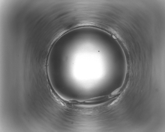 X0000071851137200607072254