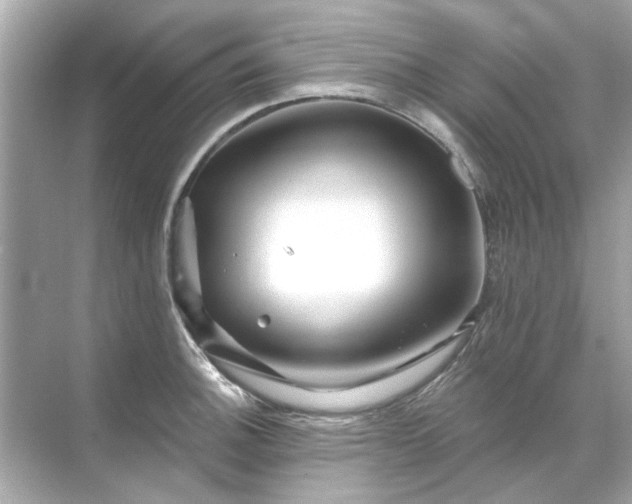 X0000071851140200607072255