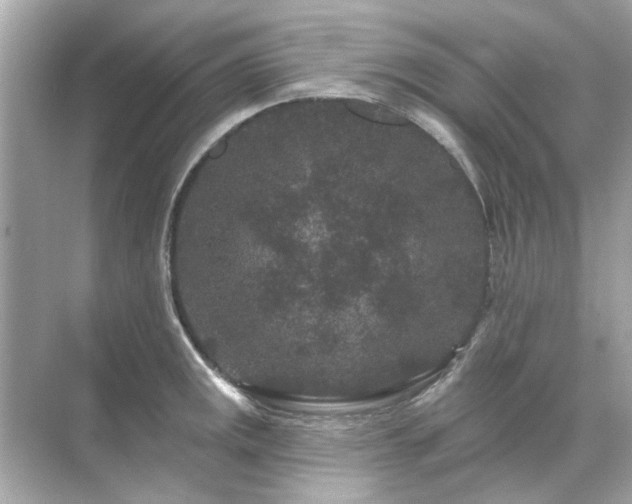 X0000071851141200607072255