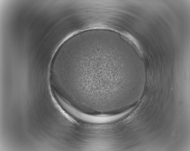 X0000071851142200607072255