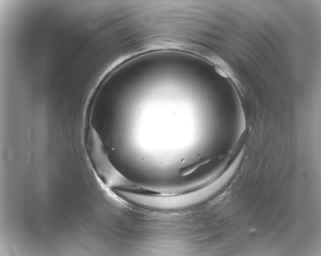 X0000071851143200607072255