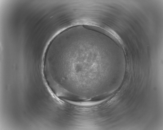 X0000071851144200607072255