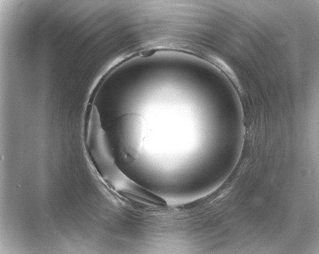 X0000071851146200607072255