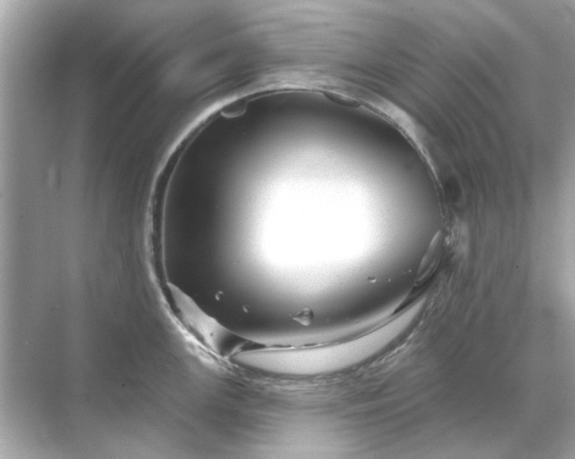 X0000071851147200607072255