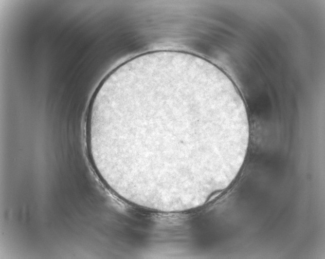 X0000071851150200607072255