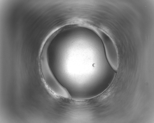 X0000071851152200607072255