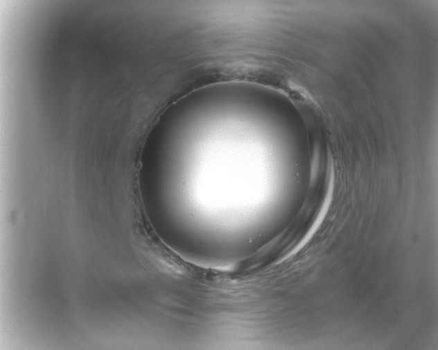 X0000071851153200607072254