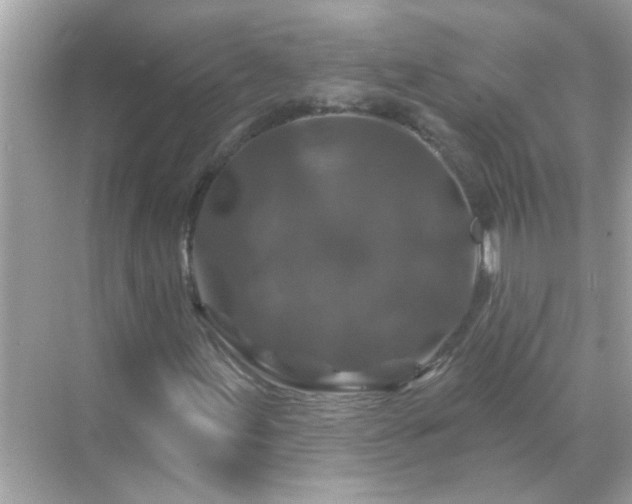 X0000071851155200607072254