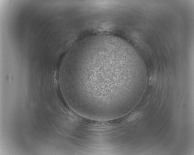 X0000071851156200607072254