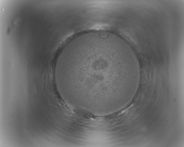 X0000071851158200607072254