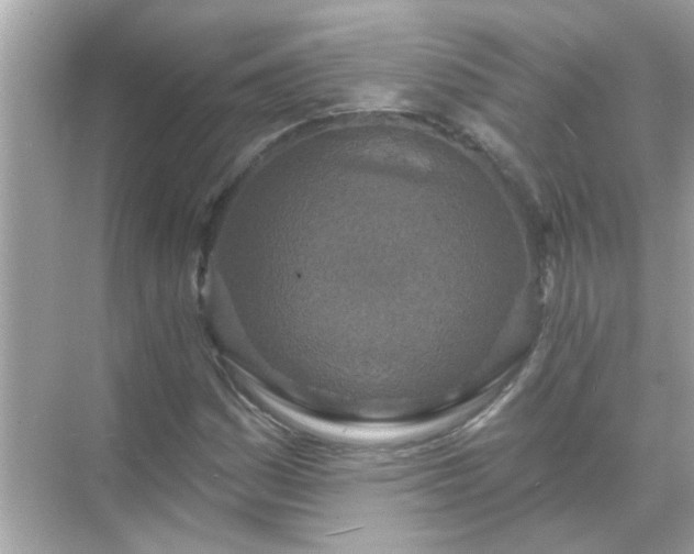 X0000071851161200607072254