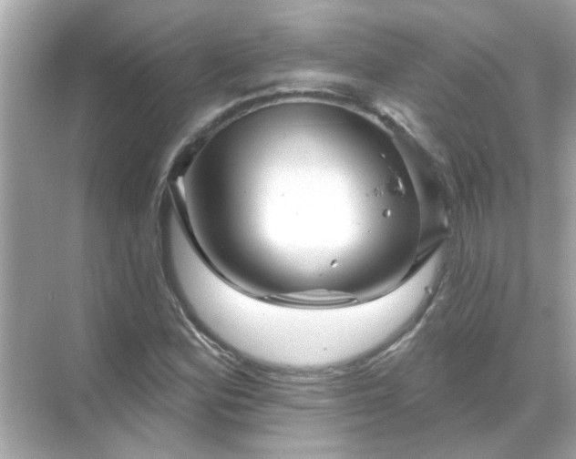 X0000071851164200607072254