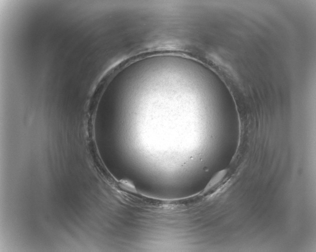 X0000071851166200607072254