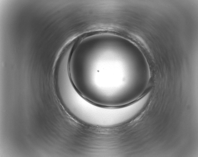 X0000071851172200607072254